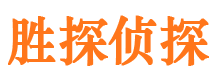 江南市侦探公司